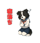 ステラちゃん(ボーダーコリー)の日々2（個別スタンプ：6）