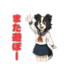 ステラちゃん(ボーダーコリー)の日々2（個別スタンプ：8）