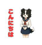 ステラちゃん(ボーダーコリー)の日々2（個別スタンプ：9）