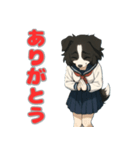 ステラちゃん(ボーダーコリー)の日々2（個別スタンプ：10）