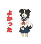 ステラちゃん(ボーダーコリー)の日々2（個別スタンプ：11）