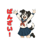 ステラちゃん(ボーダーコリー)の日々2（個別スタンプ：12）