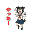 ステラちゃん(ボーダーコリー)の日々2（個別スタンプ：13）