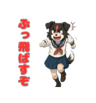 ステラちゃん(ボーダーコリー)の日々2（個別スタンプ：16）