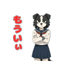 ステラちゃん(ボーダーコリー)の日々2（個別スタンプ：26）