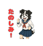 ステラちゃん(ボーダーコリー)の日々2（個別スタンプ：29）