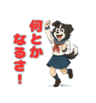 ステラちゃん(ボーダーコリー)の日々2（個別スタンプ：37）