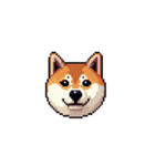 絵文字みたいなドット絵柴犬スタンプ（個別スタンプ：5）