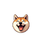 絵文字みたいなドット絵柴犬スタンプ（個別スタンプ：11）