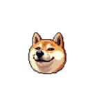 絵文字みたいなドット絵柴犬スタンプ（個別スタンプ：12）