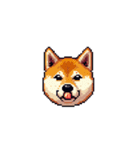 絵文字みたいなドット絵柴犬スタンプ（個別スタンプ：13）