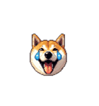 絵文字みたいなドット絵柴犬スタンプ（個別スタンプ：20）