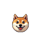 絵文字みたいなドット絵柴犬スタンプ（個別スタンプ：24）