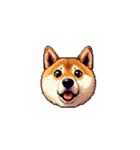絵文字みたいなドット絵柴犬スタンプ（個別スタンプ：25）