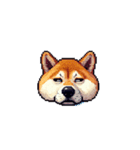 絵文字みたいなドット絵柴犬スタンプ（個別スタンプ：29）
