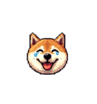 絵文字みたいなドット絵柴犬スタンプ（個別スタンプ：32）