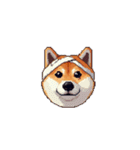 絵文字みたいなドット絵柴犬スタンプ（個別スタンプ：33）