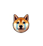 絵文字みたいなドット絵柴犬スタンプ（個別スタンプ：39）