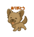 脱力チワプー☆ミツのきもち（個別スタンプ：1）