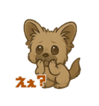 脱力チワプー☆ミツのきもち（個別スタンプ：5）