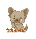 脱力チワプー☆ミツのきもち（個別スタンプ：7）