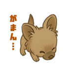 脱力チワプー☆ミツのきもち（個別スタンプ：18）