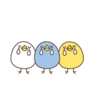 トリ (・θ・) 感情（個別スタンプ：34）
