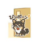 (BIGスタンプ)内弁慶チワワの日常あるある（個別スタンプ：3）