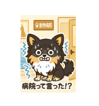 (BIGスタンプ)内弁慶チワワの日常あるある（個別スタンプ：7）