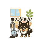 (BIGスタンプ)内弁慶チワワの日常あるある（個別スタンプ：19）