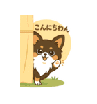 (BIGスタンプ)内弁慶チワワの日常あるある（個別スタンプ：20）