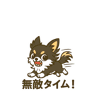 (BIGスタンプ)内弁慶チワワの日常あるある（個別スタンプ：25）