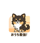 (BIGスタンプ)内弁慶チワワの日常あるある（個別スタンプ：29）