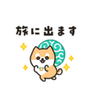 柴犬たけちよの夏の大冒険（個別スタンプ：1）