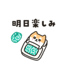 柴犬たけちよの夏の大冒険（個別スタンプ：3）