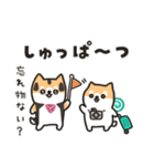 柴犬たけちよの夏の大冒険（個別スタンプ：4）