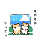 柴犬たけちよの夏の大冒険（個別スタンプ：7）