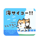 柴犬たけちよの夏の大冒険（個別スタンプ：8）