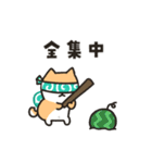 柴犬たけちよの夏の大冒険（個別スタンプ：11）