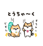 柴犬たけちよの夏の大冒険（個別スタンプ：13）