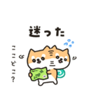柴犬たけちよの夏の大冒険（個別スタンプ：15）