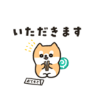 柴犬たけちよの夏の大冒険（個別スタンプ：17）