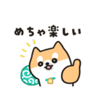 柴犬たけちよの夏の大冒険（個別スタンプ：21）