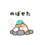 柴犬たけちよの夏の大冒険（個別スタンプ：23）