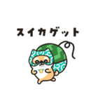 柴犬たけちよの夏の大冒険（個別スタンプ：27）
