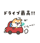 柴犬たけちよの夏の大冒険（個別スタンプ：30）