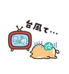 柴犬たけちよの夏の大冒険（個別スタンプ：34）