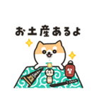 柴犬たけちよの夏の大冒険（個別スタンプ：38）