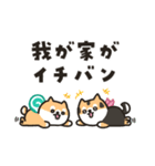柴犬たけちよの夏の大冒険（個別スタンプ：39）