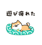 柴犬たけちよの夏の大冒険（個別スタンプ：40）